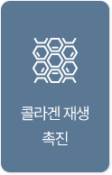 피부탄력개선