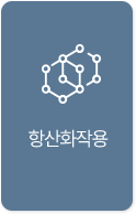 항산화작용