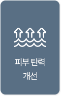 피부 탄력 개선