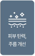 피부 탄력,주름 개선