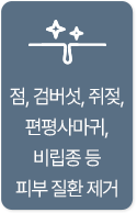 점, 검버섯, 쥐젖, 편평사마귀, 비립종 등 피부 질환 제거