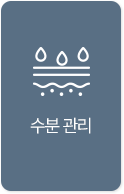 수분관리