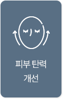 피부 탄력 개선